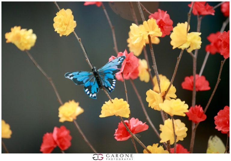 A vibrant blue butterfly resting on colorful flowers.