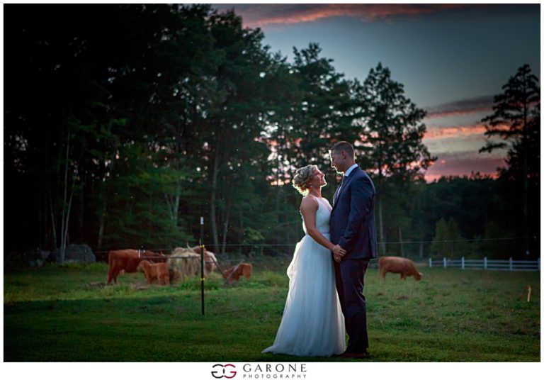 A couple in wedding attire shares a romantic moment outdoors at sunset with cows grazing nearby.