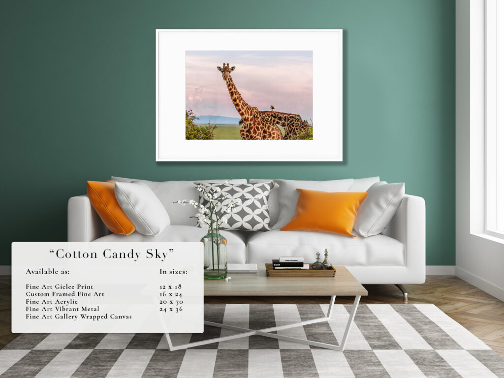 Cozy living room with a giraffe photo above the sofa.