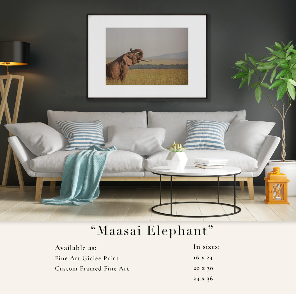 Modern living room with Maasai Elephant framed art above a gray sofa.