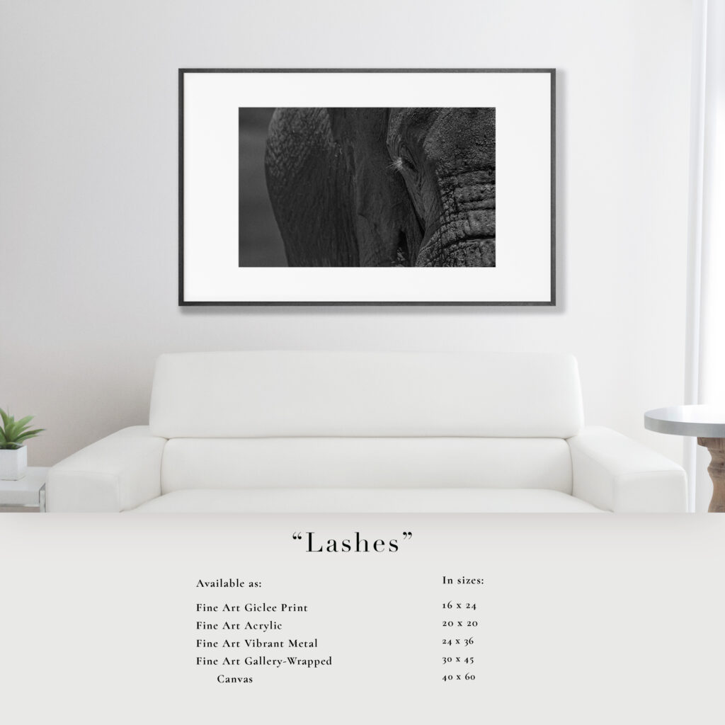 Modern living room with a black and white framed photo above a white sofa.