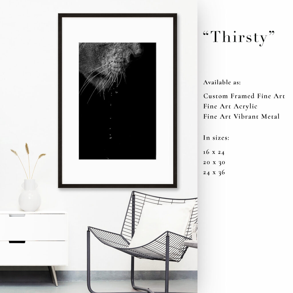 Minimalist black-and-white art titled 'Thirsty' in a modern living room.