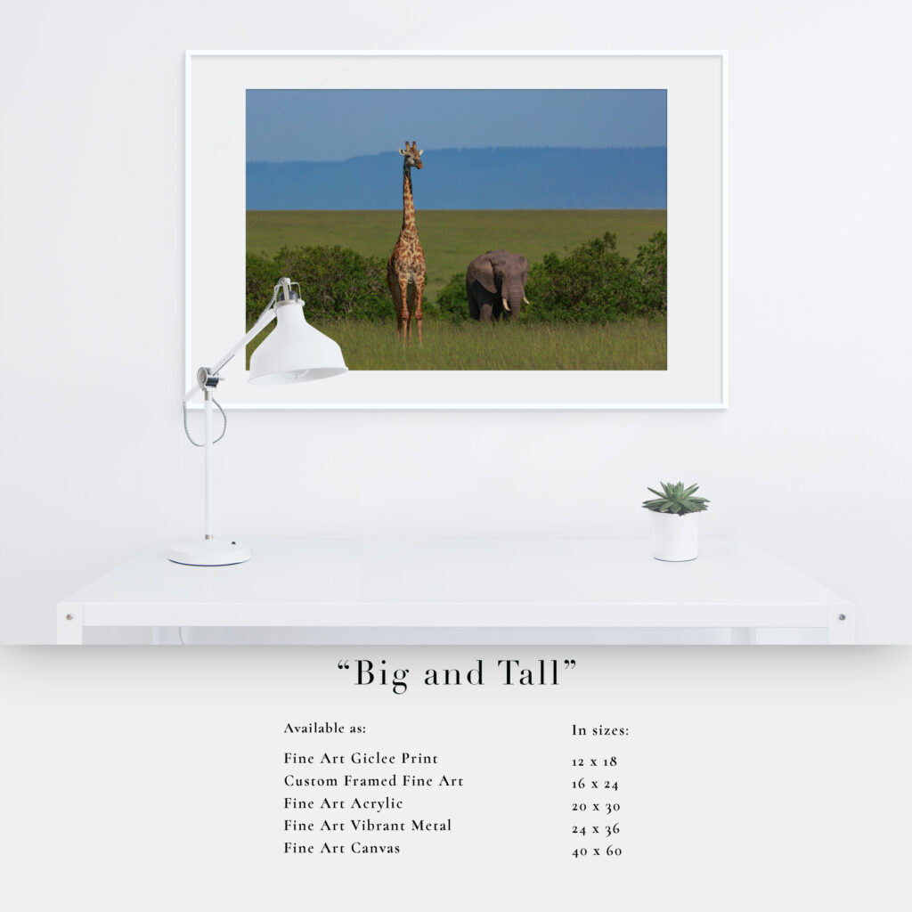 A tall person stands on a beach with arms raised, dwarfed by a shorter person nearby.