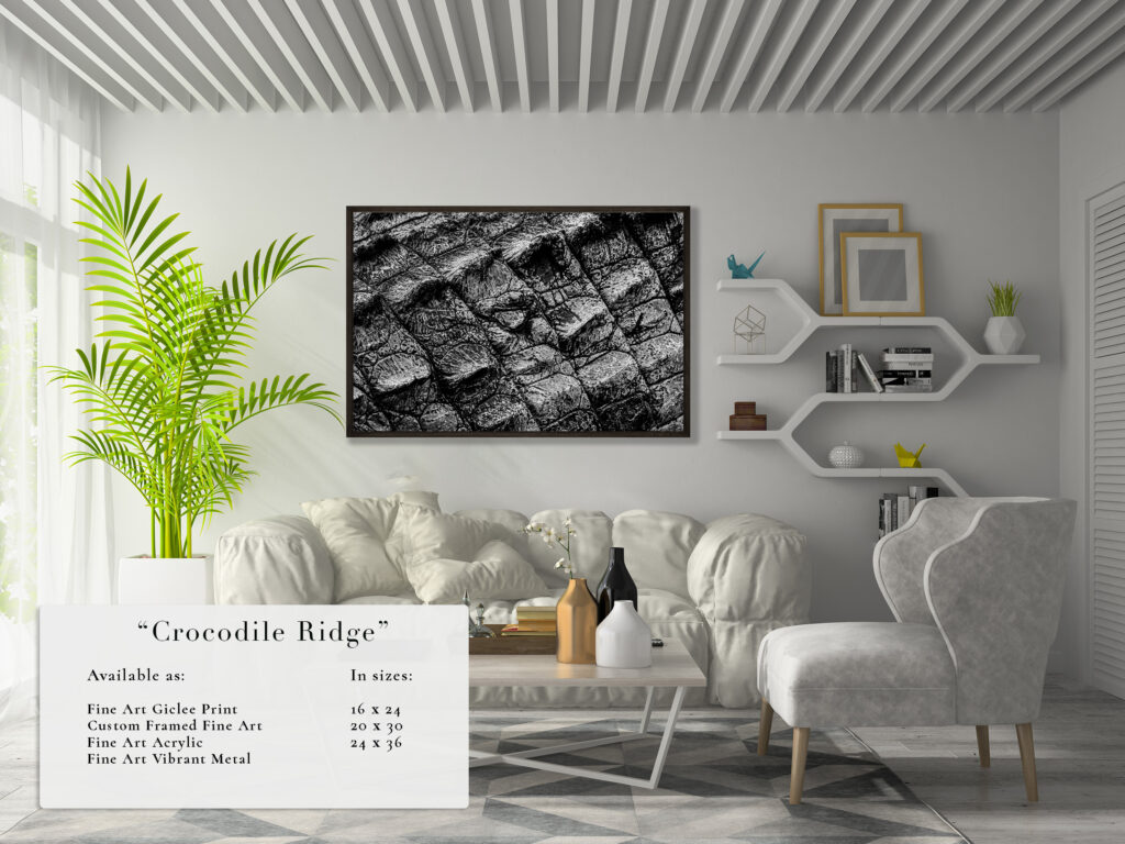 Modern living room with stylish gray sofa and textured wall art.