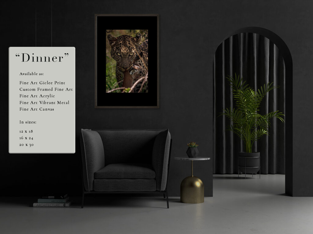 Dark-themed lion portrait in a modern, minimalist living room with black and gold accents.