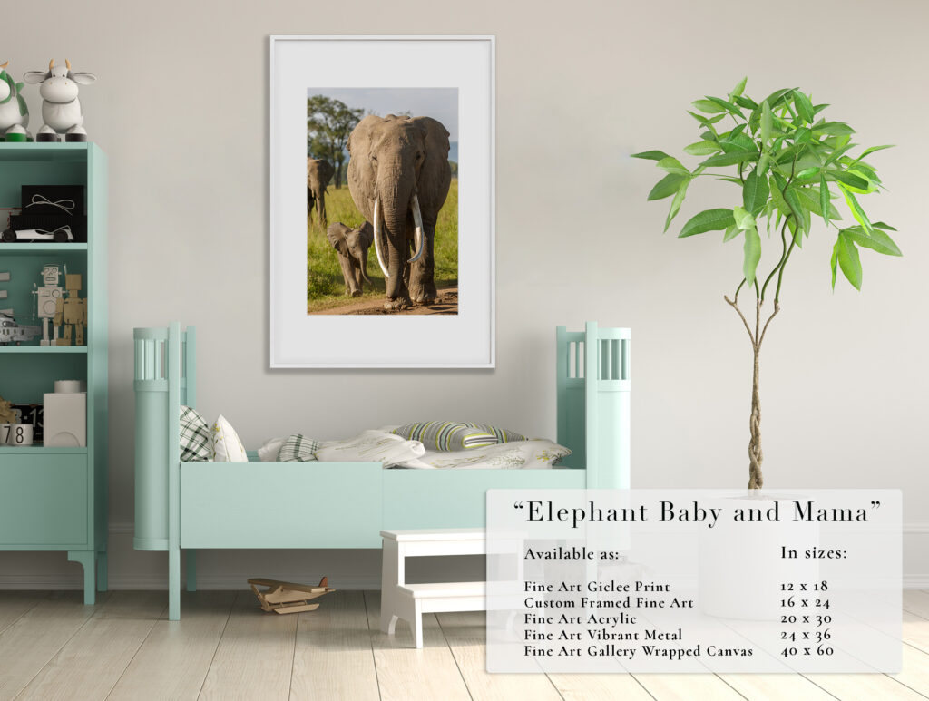Framed photo of an elephant calf and mother above a bench with plants in a cozy room.