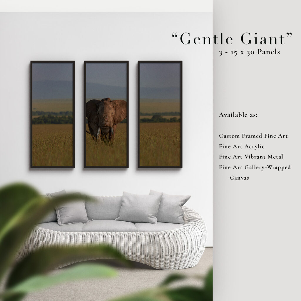 Three-panel artwork of a gentle giant elephant in a serene landscape.