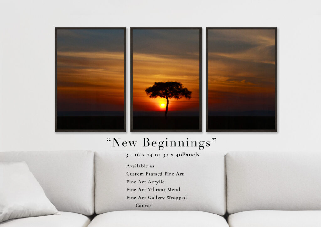 Triptych wall art of a sunset with a solitary tree above a white couch.
