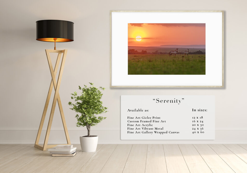 Framed sunset photo titled 'Serenity' with serene landscape and plant decor.