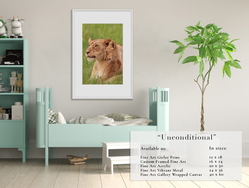 A framed photo of a dog hangs above a modern bench in a minimalist room.
